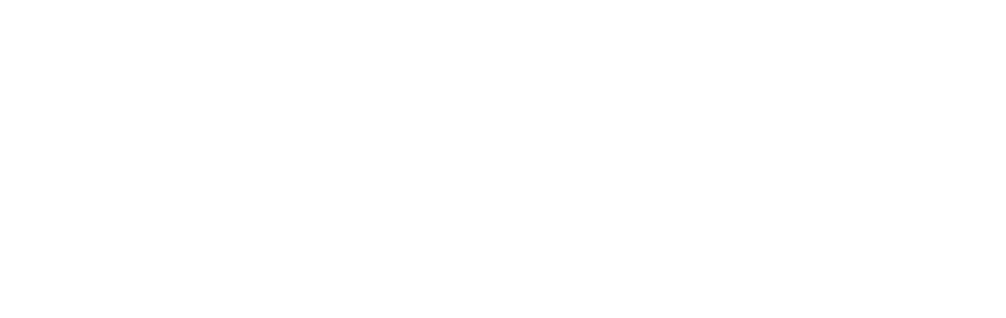 LOGO FROMTHERM BRANCA
